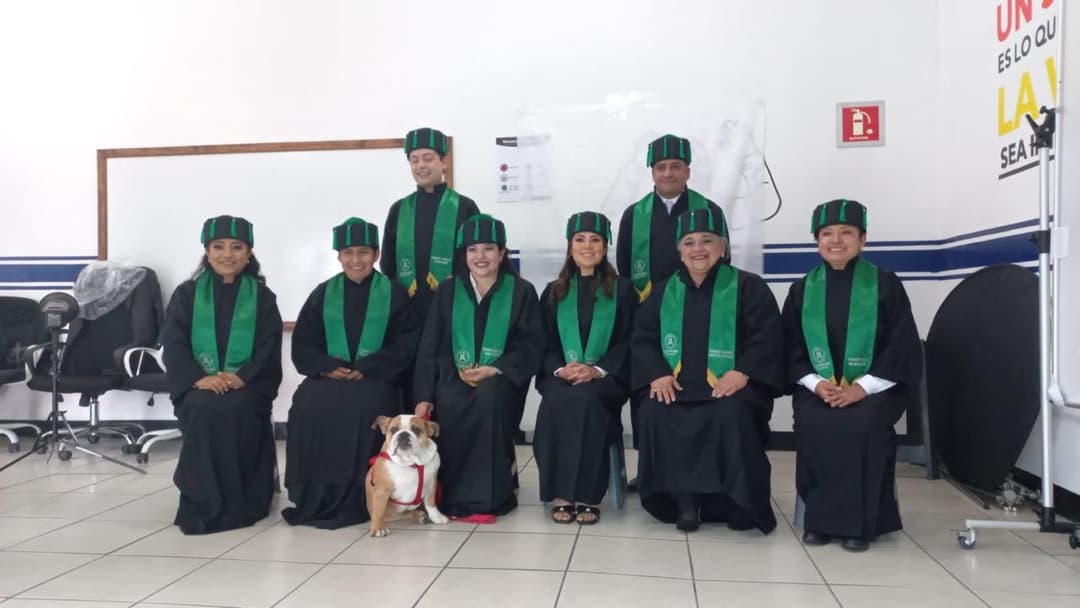 Hero estudiante con Mascota